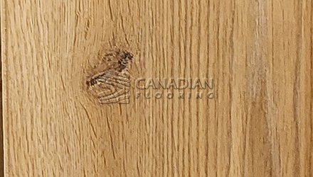 Parador, Laminate, 12.0 mm, Water-ResistantColor:  Natural Laminate flooring