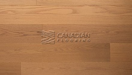 White Oak, Grandeur, 7.5" x 3/4", Prestige Collection<br> Color: Forest Hill