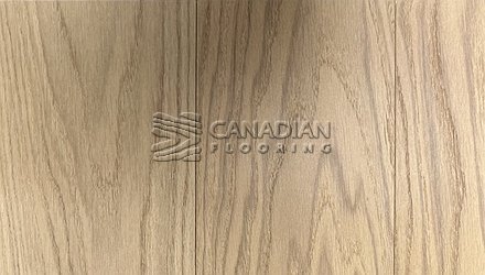 Engineered White Oak, Fuzion Demure, Elite, 6.5" x 3/4" <br> Color:  Allure